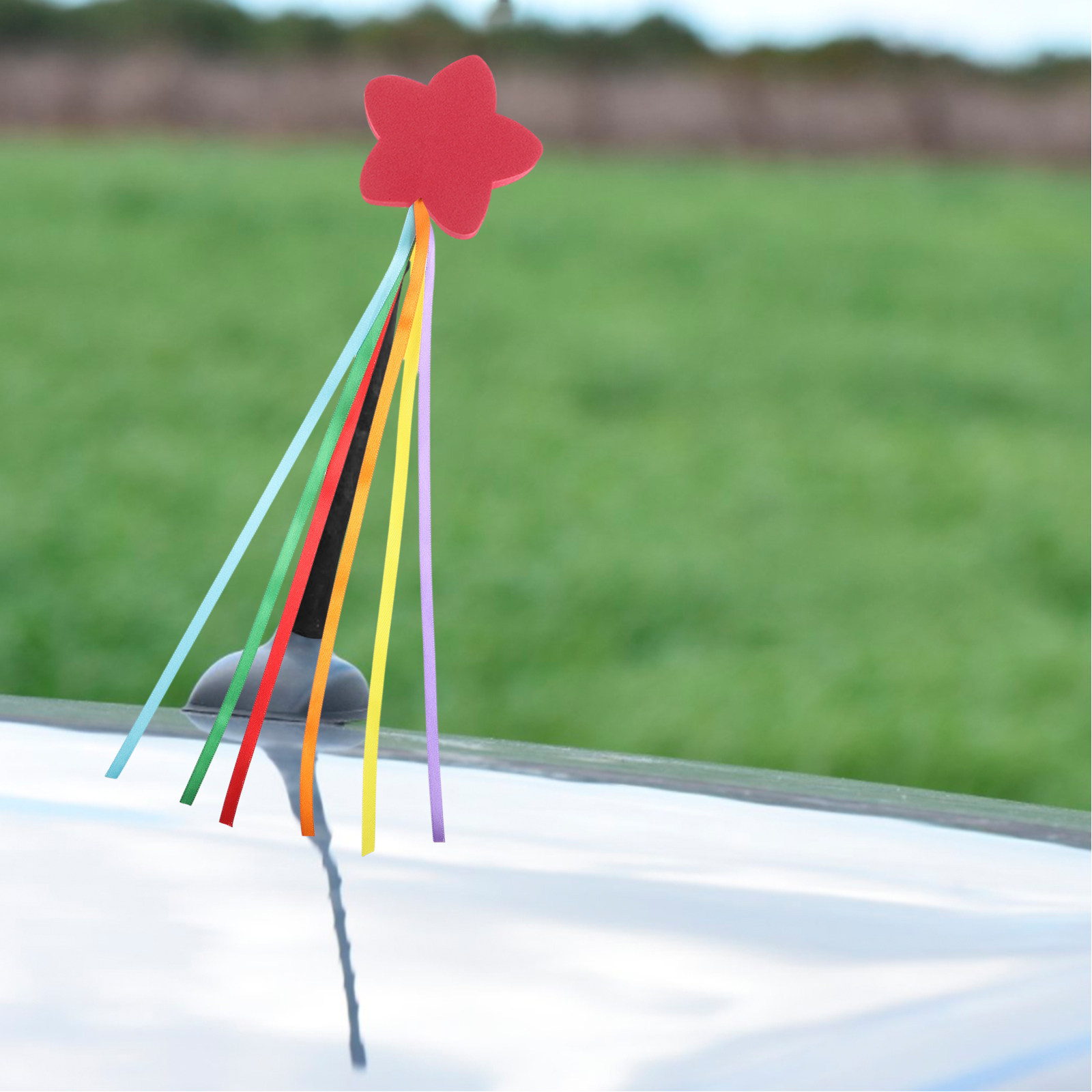 2 Adet Otomotiv Anten Topu Süs - Travel Accessories For Car incelemesi ve fiyatı